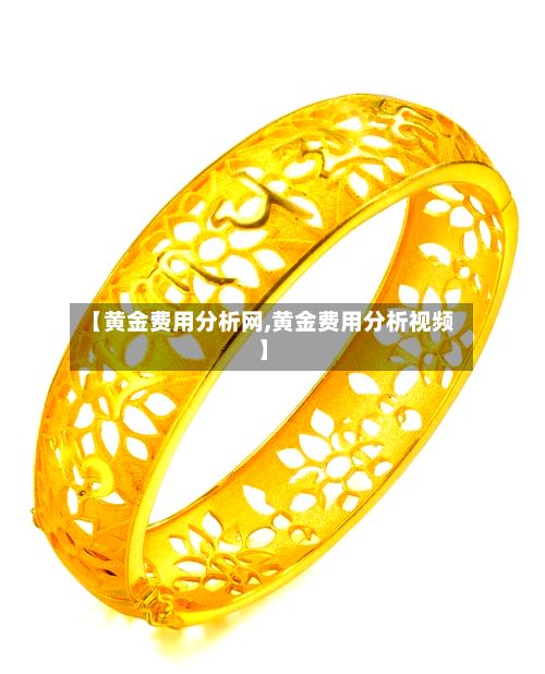 【黄金费用分析网,黄金费用分析视频】-第3张图片
