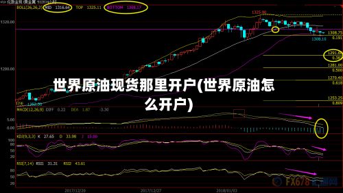 世界原油现货那里开户(世界原油怎么开户)-第2张图片