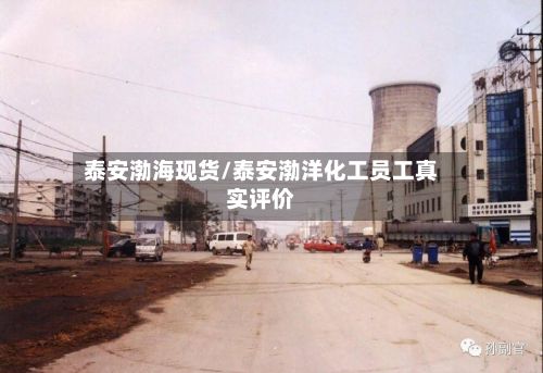泰安渤海现货/泰安渤洋化工员工真实评价