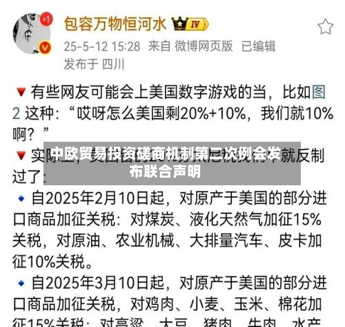 中欧贸易投资磋商机制第二次例会发布联合声明