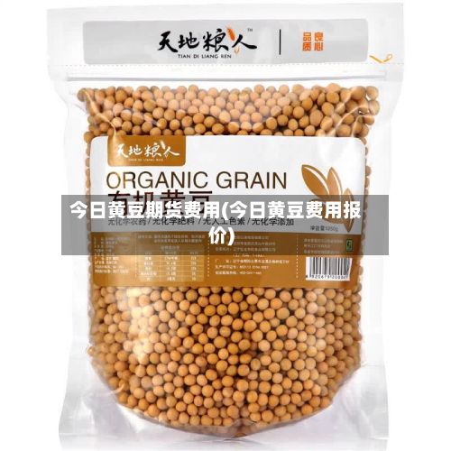 今日黄豆期货费用(今日黄豆费用报价)-第2张图片