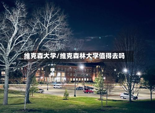 维克森大学/维克森林大学值得去吗-第2张图片