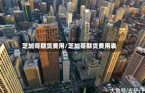 芝加哥期货费用/芝加哥期货费用表