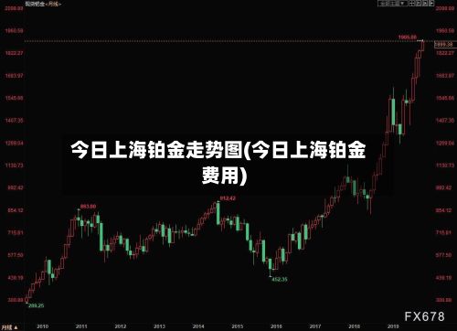 今日上海铂金走势图(今日上海铂金费用)