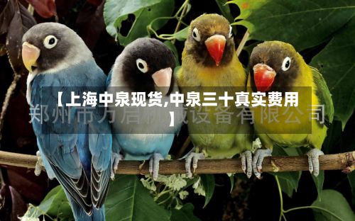 【上海中泉现货,中泉三十真实费用】-第3张图片