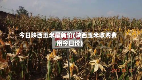 今日陕西玉米最新价(陕西玉米收购费用今日价)