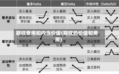 期权费用和内含价值(期权的价值和费用)-第2张图片