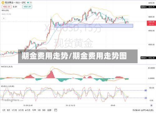 期金费用走势/期金费用走势图