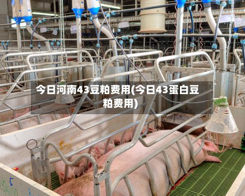 今日河南43豆粕费用(今日43蛋白豆粕费用)-第2张图片
