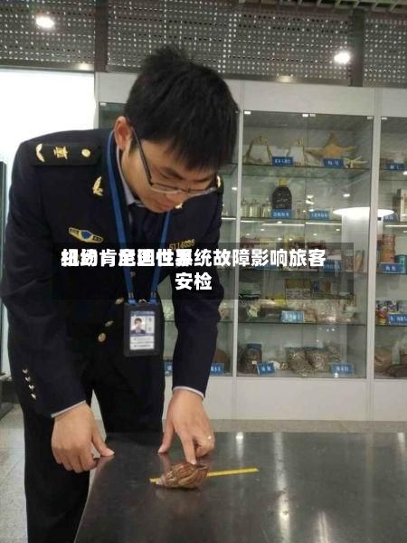 纽约肯尼迪世界机场：全国性系统故障影响旅客安检