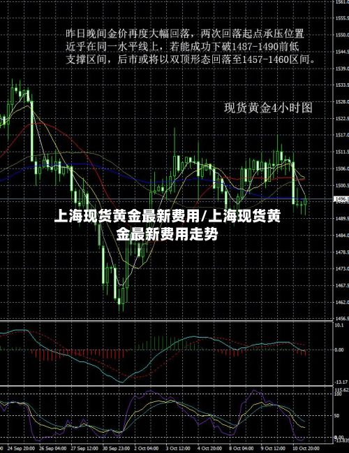 上海现货黄金最新费用/上海现货黄金最新费用走势