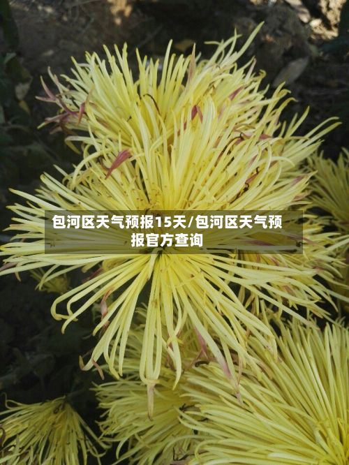 包河区天气预报15天/包河区天气预报官方查询