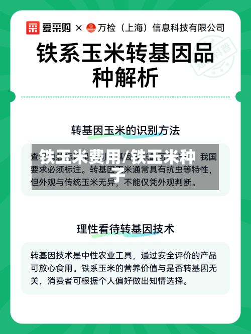 铁玉米费用/铁玉米种子-第2张图片