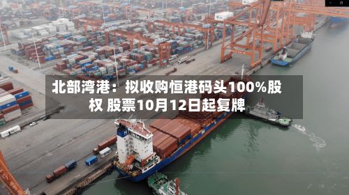 北部湾港：拟收购恒港码头100%股权 股票10月12日起复牌-第3张图片