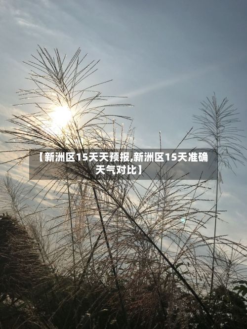 【新洲区15天天预报,新洲区15天准确天气对比】