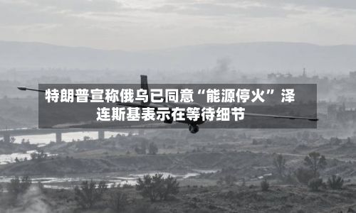 特朗普宣称俄乌已同意“能源停火” 泽连斯基表示在等待细节-第1张图片