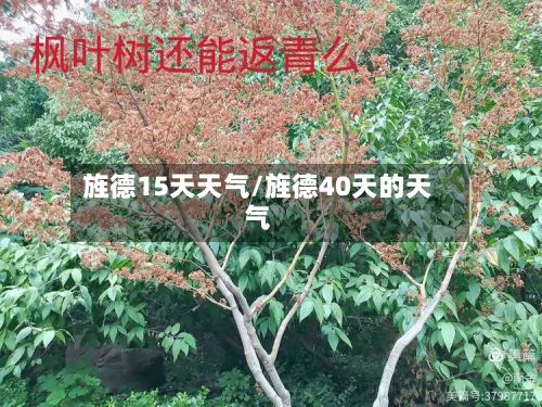 旌德15天天气/旌德40天的天气