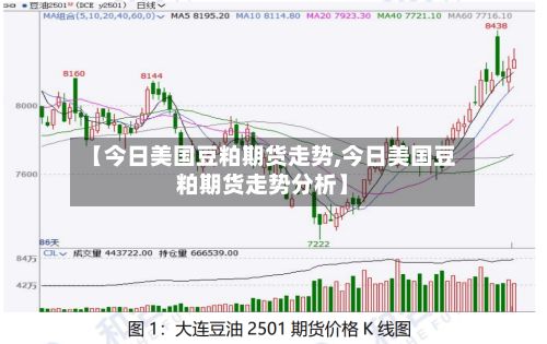 【今日美国豆粕期货走势,今日美国豆粕期货走势分析】-第3张图片