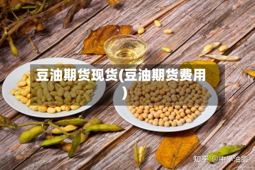 豆油期货现货(豆油期货费用)-第3张图片