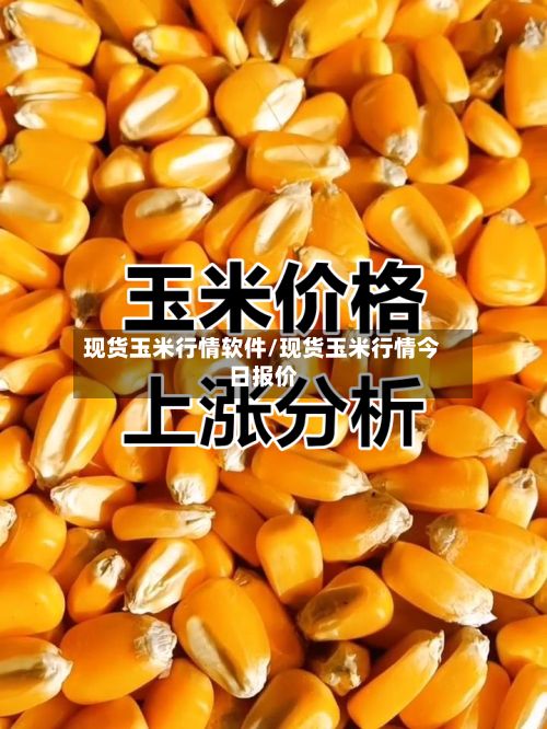 现货玉米行情软件/现货玉米行情今日报价-第3张图片