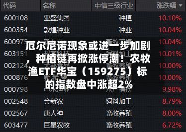 厄尔尼诺现象或进一步加剧，种植链再掀涨停潮！农牧渔ETF华宝（159275）标的指数盘中涨超2%-第3张图片
