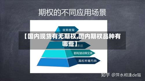 【国内现货有无期权,国内期权品种有哪些】-第2张图片