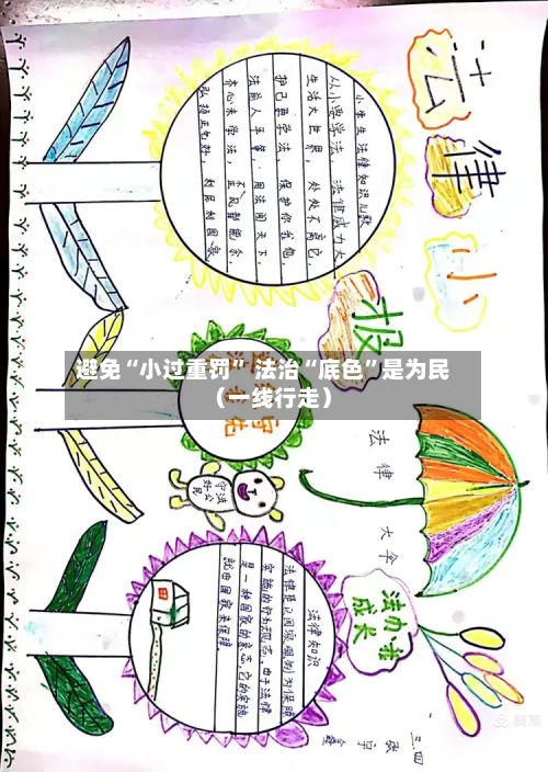 避免“小过重罚” 法治“底色”是为民（一线行走）-第2张图片