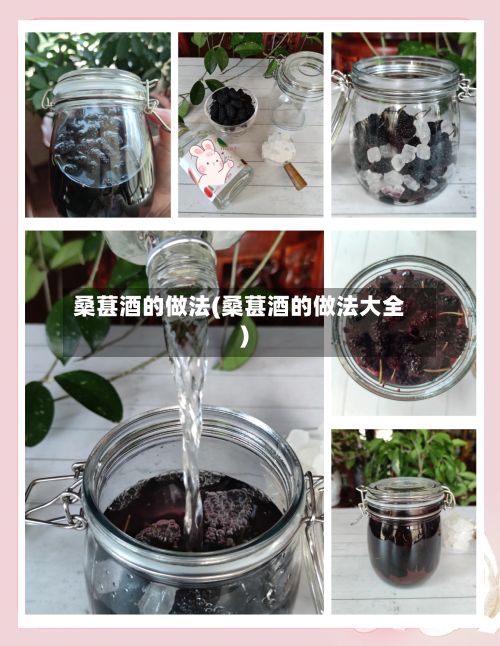 桑葚酒的做法(桑葚酒的做法大全)-第2张图片