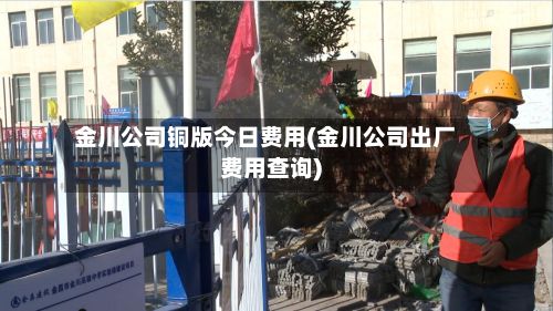 金川公司铜版今日费用(金川公司出厂费用查询)