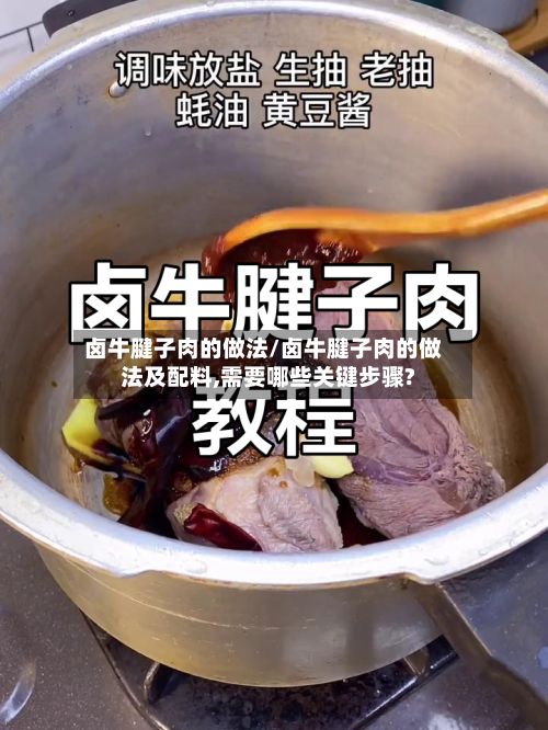卤牛腱子肉的做法/卤牛腱子肉的做法及配料,需要哪些关键步骤?
