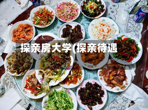 探亲房大学(探亲待遇)