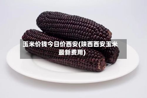 玉米价钱今日价西安(陕西西安玉米最新费用)