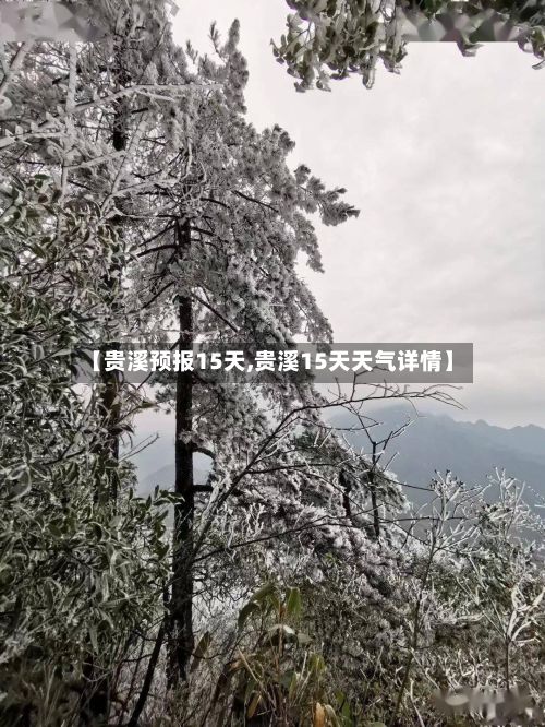 【贵溪预报15天,贵溪15天天气详情】