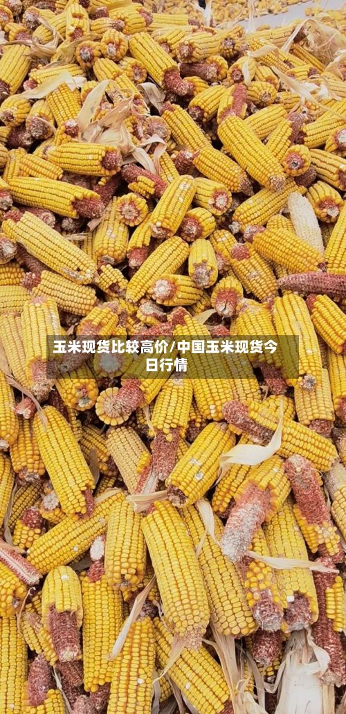 玉米现货比较高价/中国玉米现货今日行情-第3张图片