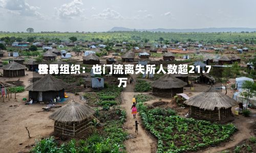 世界移民组织：也门流离失所人数超21.7万-第3张图片