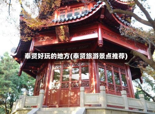 奉贤好玩的地方(奉贤旅游景点推荐)-第2张图片