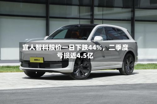 宜人智科股价一日下跌44%，二季度亏损近4.5亿-第3张图片