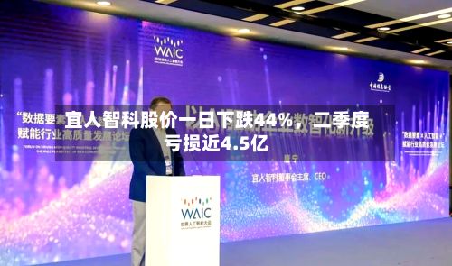 宜人智科股价一日下跌44%，二季度亏损近4.5亿-第2张图片