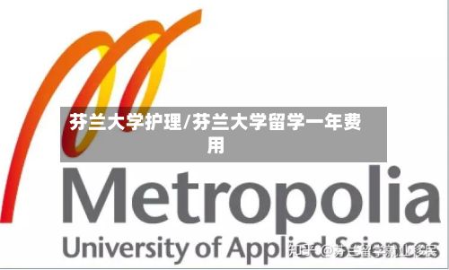 芬兰大学护理/芬兰大学留学一年费用-第3张图片