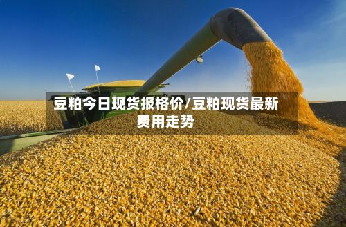豆粕今日现货报格价/豆粕现货最新费用走势