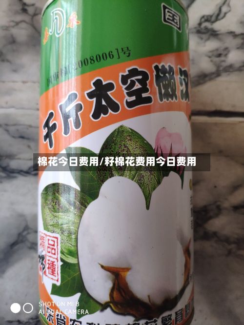 棉花今日费用/籽棉花费用今日费用