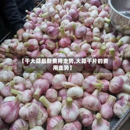 【干大蒜最新费用走势,大蒜干片的费用走势】-第2张图片