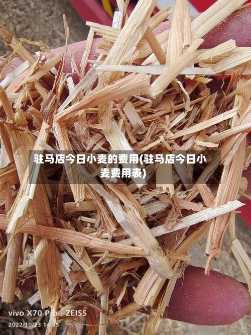 驻马店今日小麦的费用(驻马店今日小麦费用表)