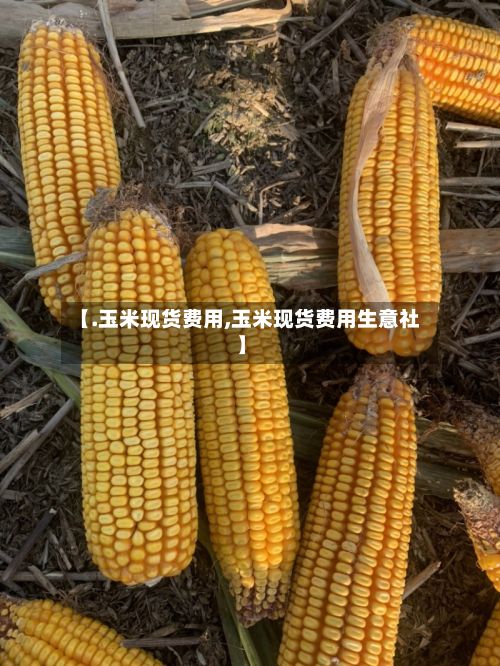 【.玉米现货费用,玉米现货费用生意社】