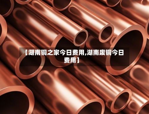 【湖南铜之家今日费用,湖南废铜今日费用】-第2张图片