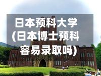 日本预科大学(日本博士预科容易录取吗)-第2张图片