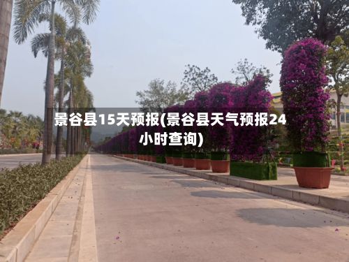 景谷县15天预报(景谷县天气预报24小时查询)