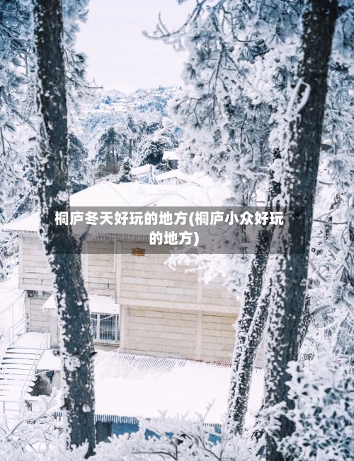 桐庐冬天好玩的地方(桐庐小众好玩的地方)-第3张图片
