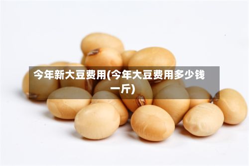 今年新大豆费用(今年大豆费用多少钱一斤)