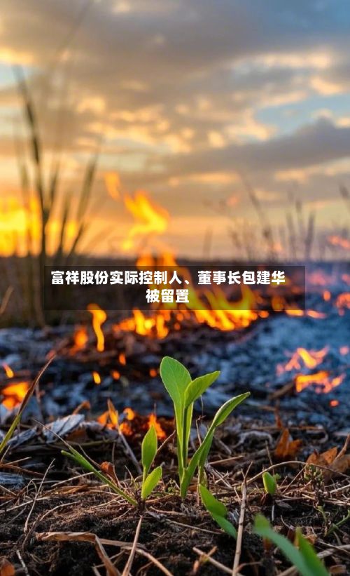 富祥股份实际控制人	、董事长包建华被留置-第2张图片